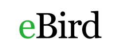 ebird