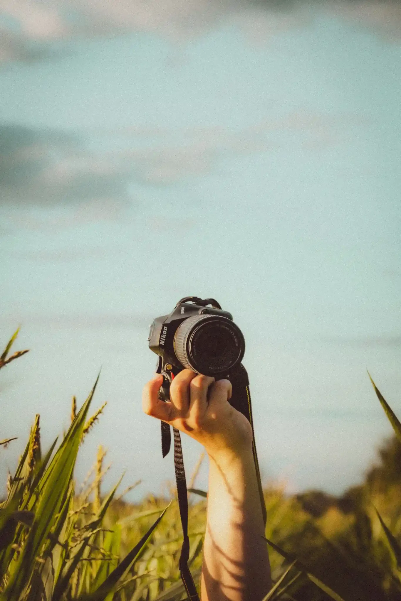 Фотографка