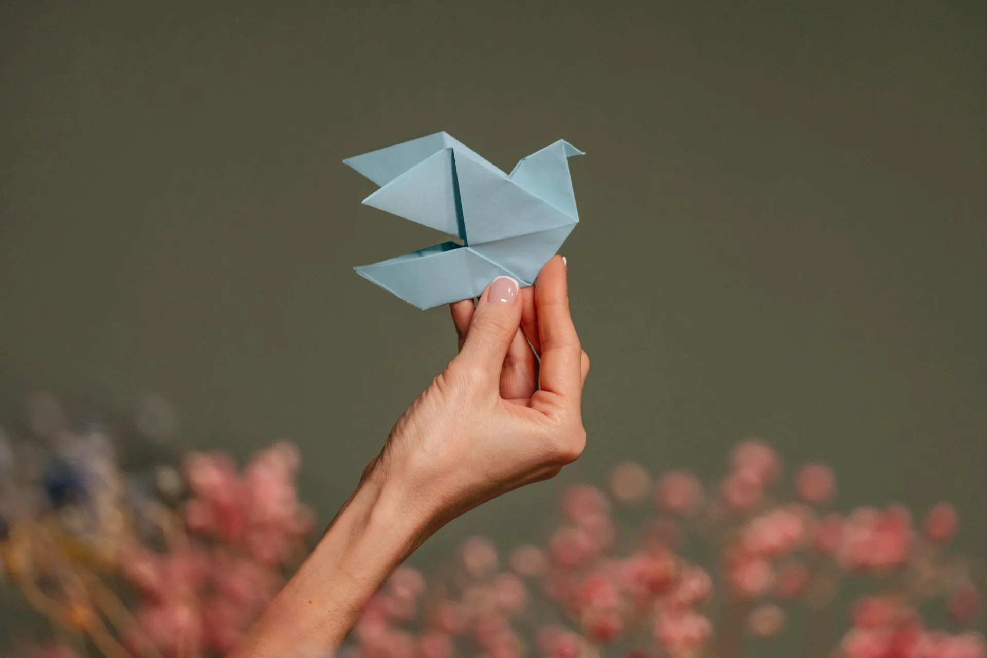 Фота: Unsplash. Аўтар Dmitrii Shirnin